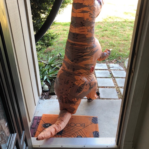 🌺MEET YOUR POSHER🌸TikTok @therealsjk 🌼 - Picture 3 of 4